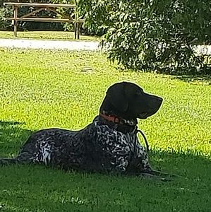 Meet your Posher, Michele